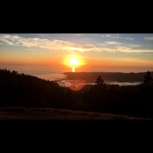 Meet your Posher, Jackson